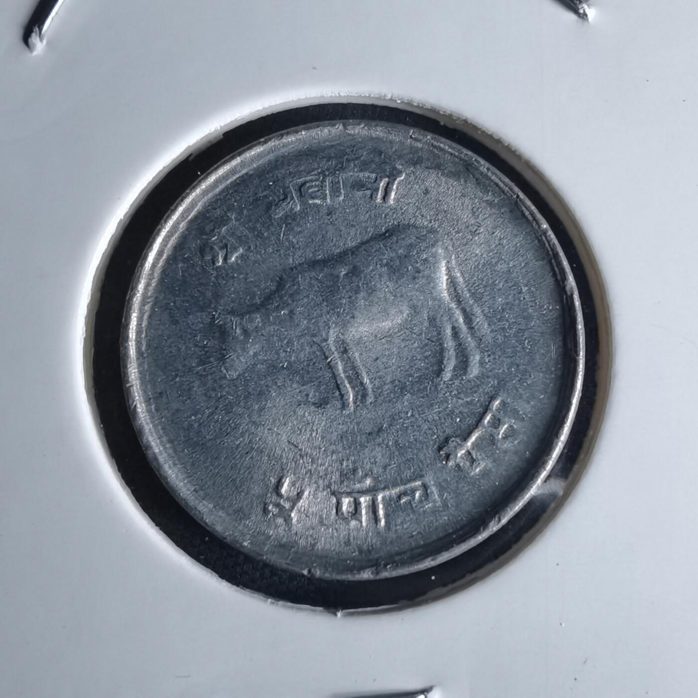 沼泽如烟--第980场