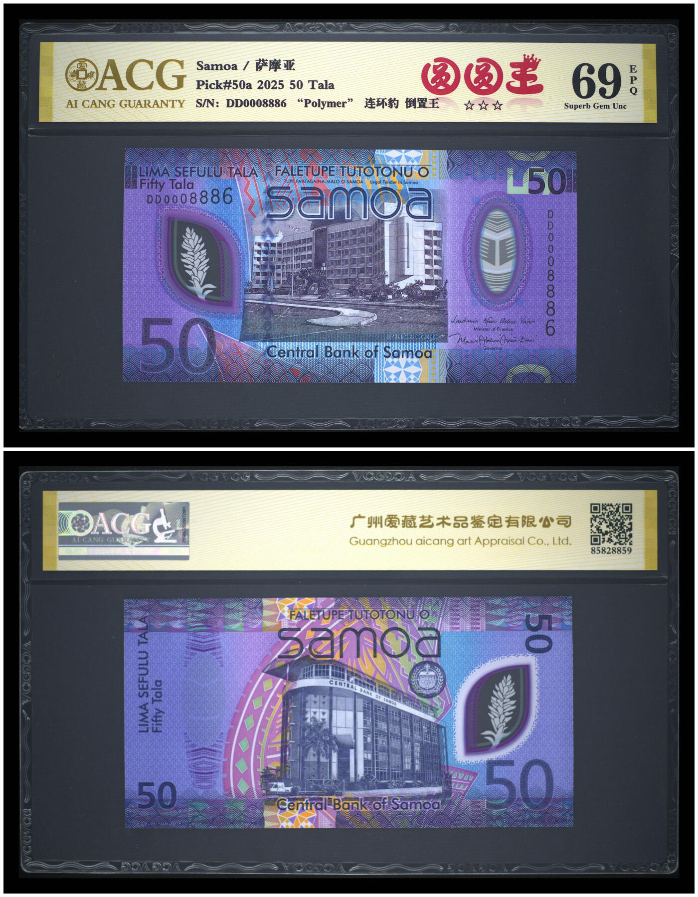 《艾美收藏》第230期-2.1周日外币年前精品场