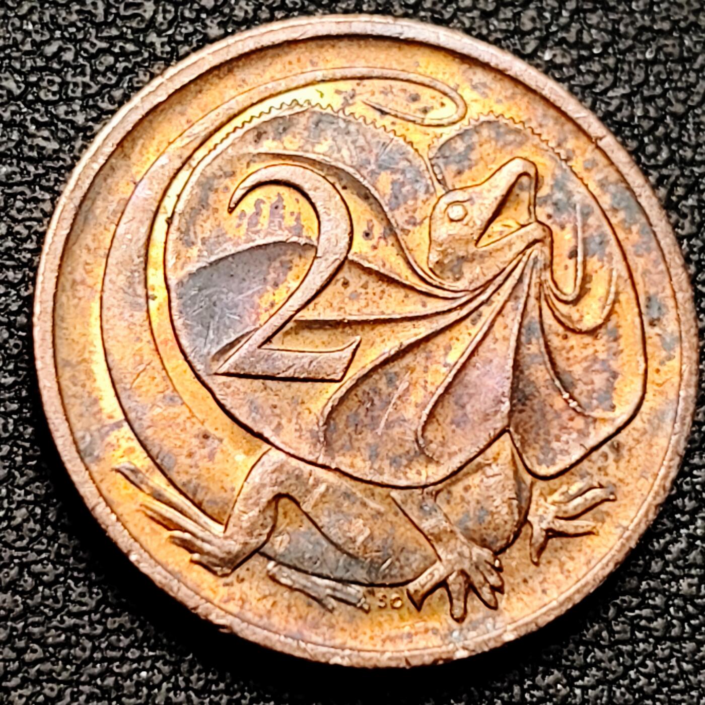 泉币菌-第179场- 精品福利场