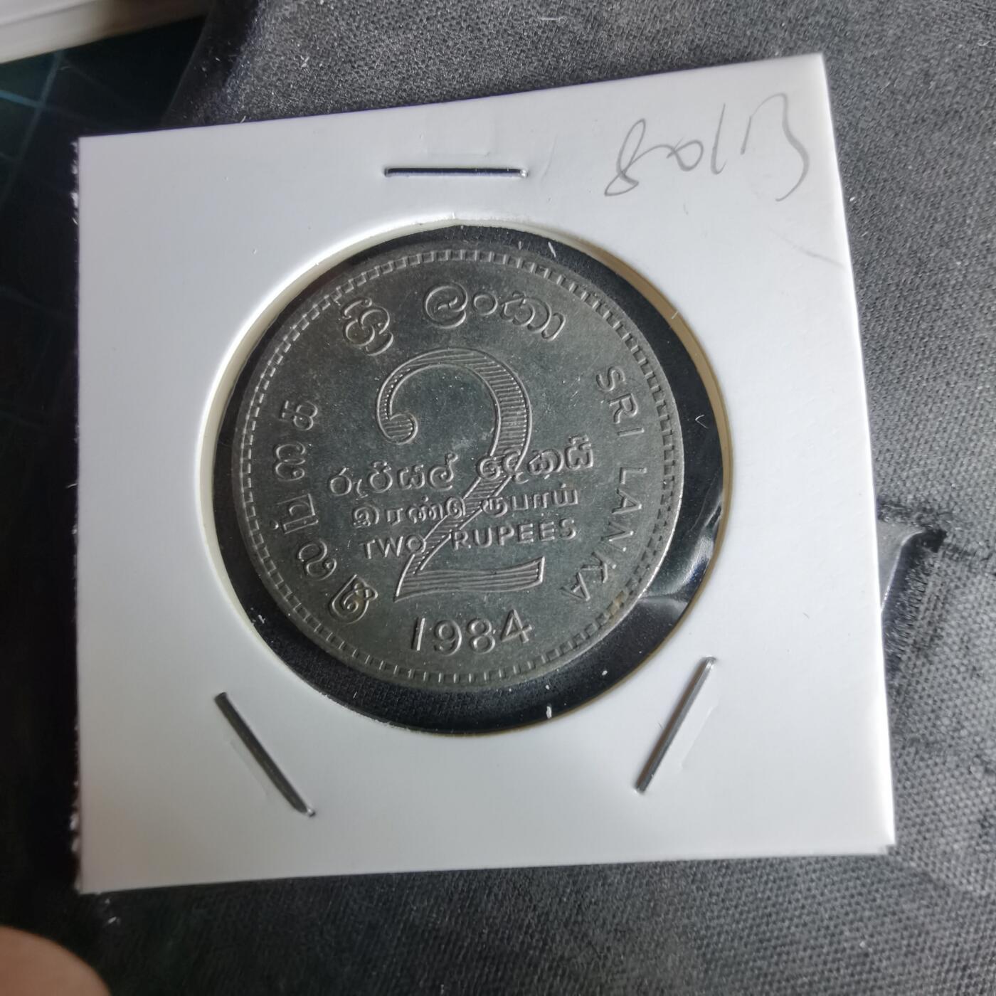 沼泽如烟--第980场