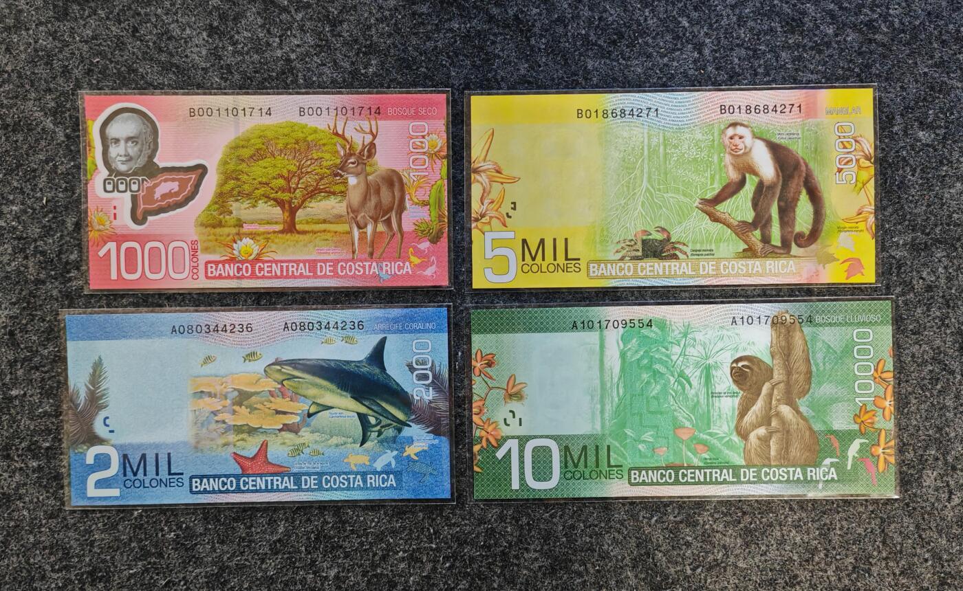 【礼羽收藏】🌏世界钱币拍卖第122期