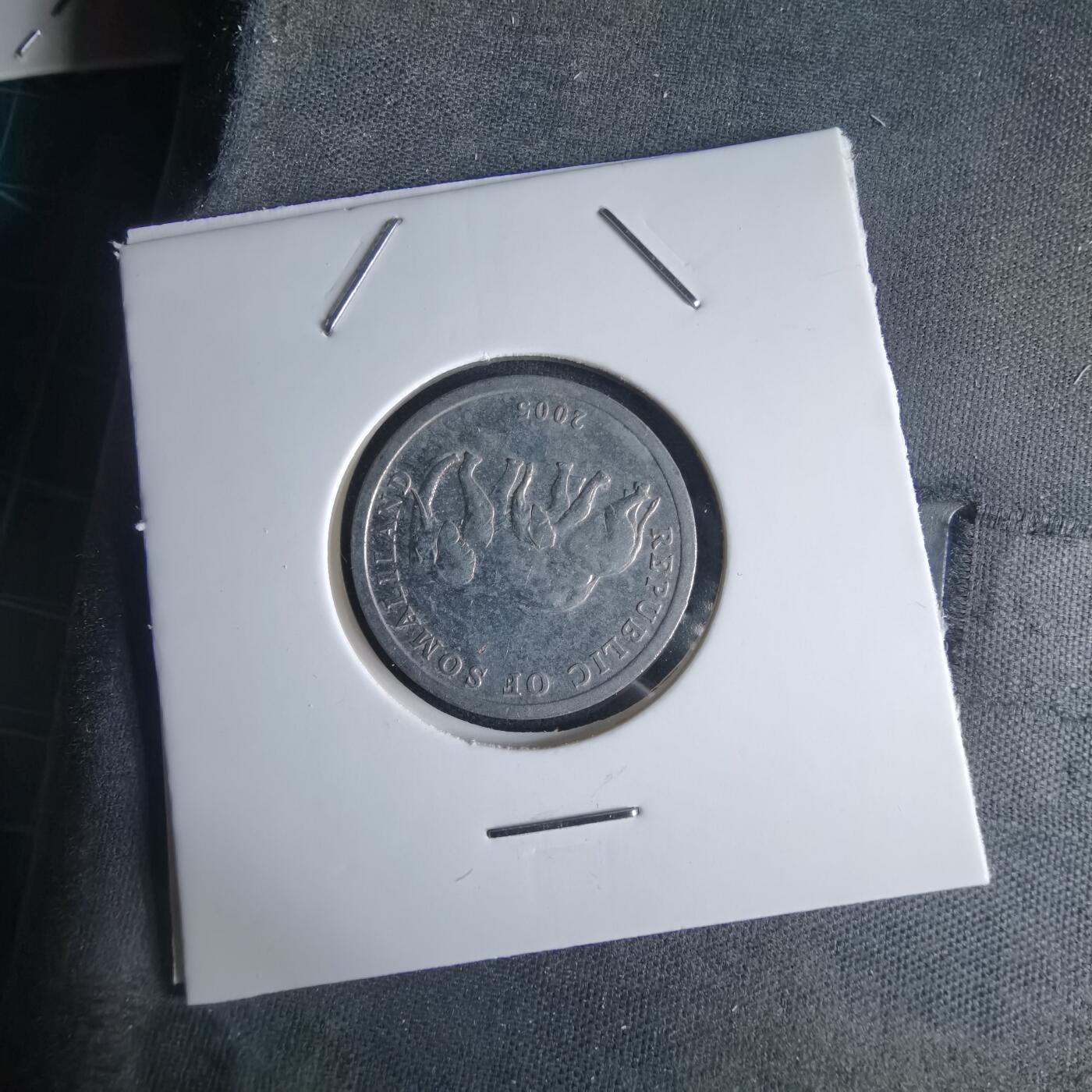 沼泽如烟--第980场