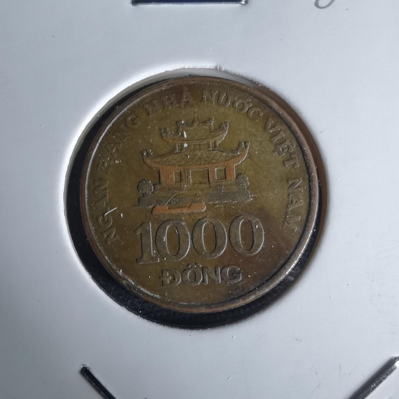 沼泽如烟--第980场