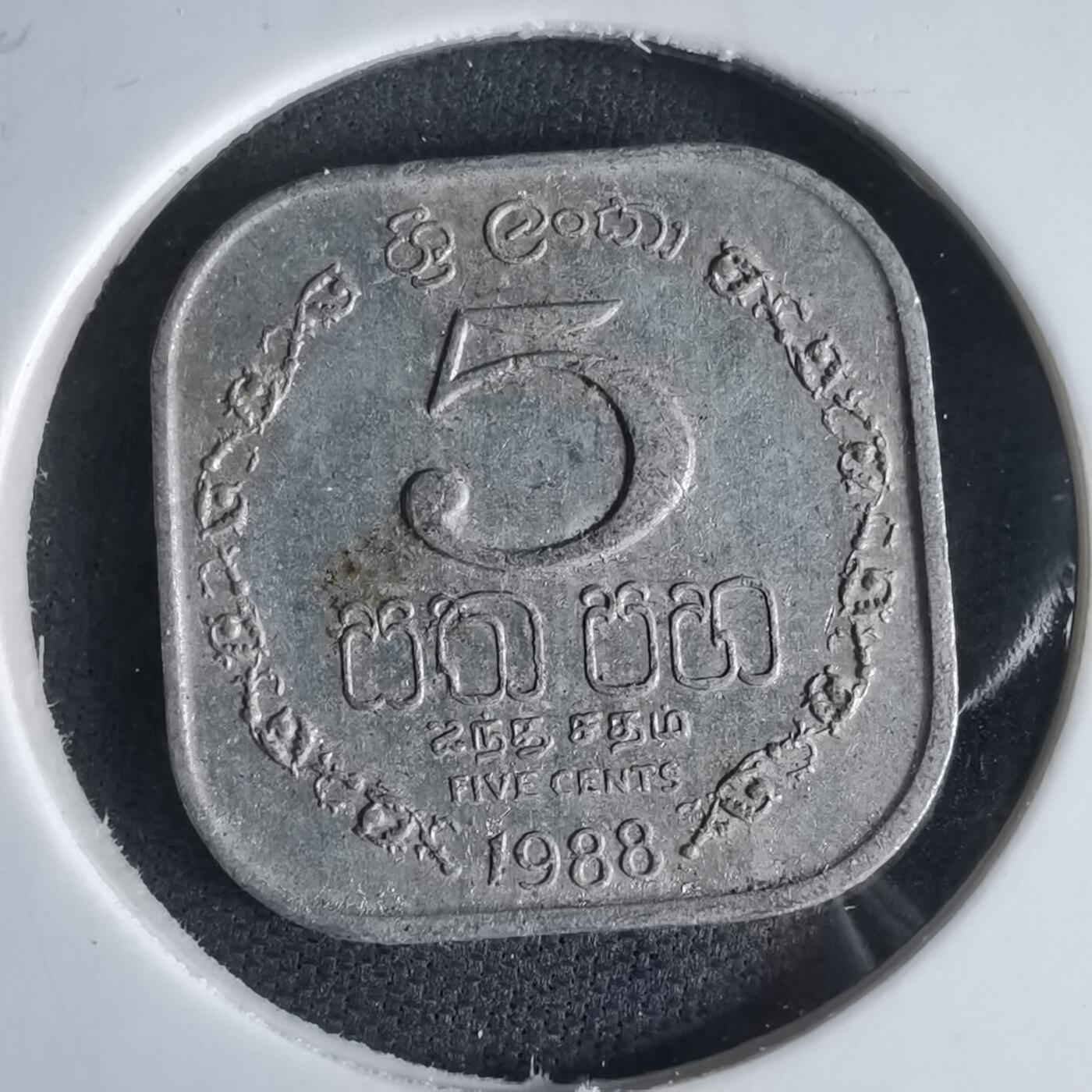 沼泽如烟--第980场