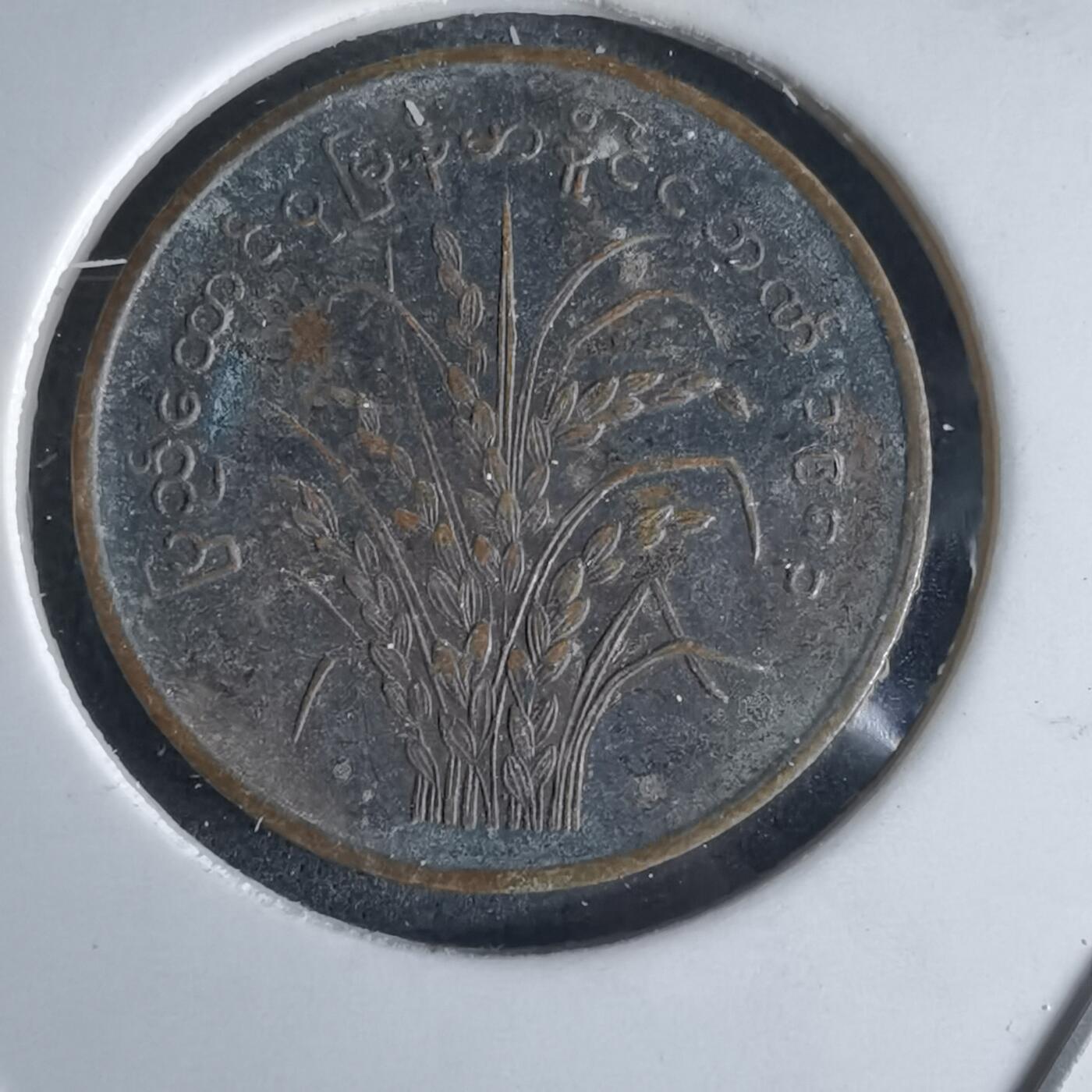 沼泽如烟--第980场