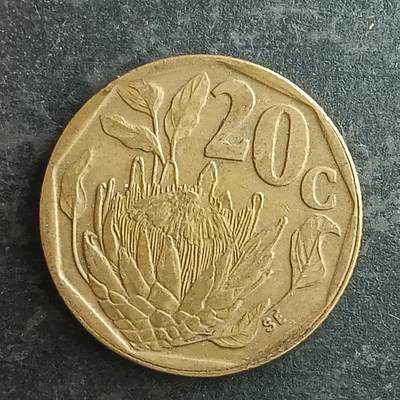 逸泉钱币2026第十四场世界各国散币纪念币A1214-1613 - 1501 南非20分