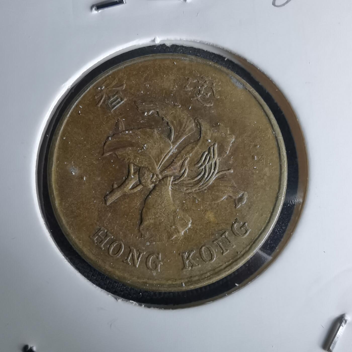 沼泽如烟--第980场