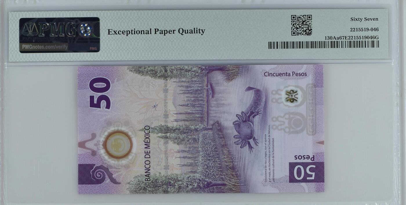 《艾美收藏》第230期-2.1周日外币年前精品场