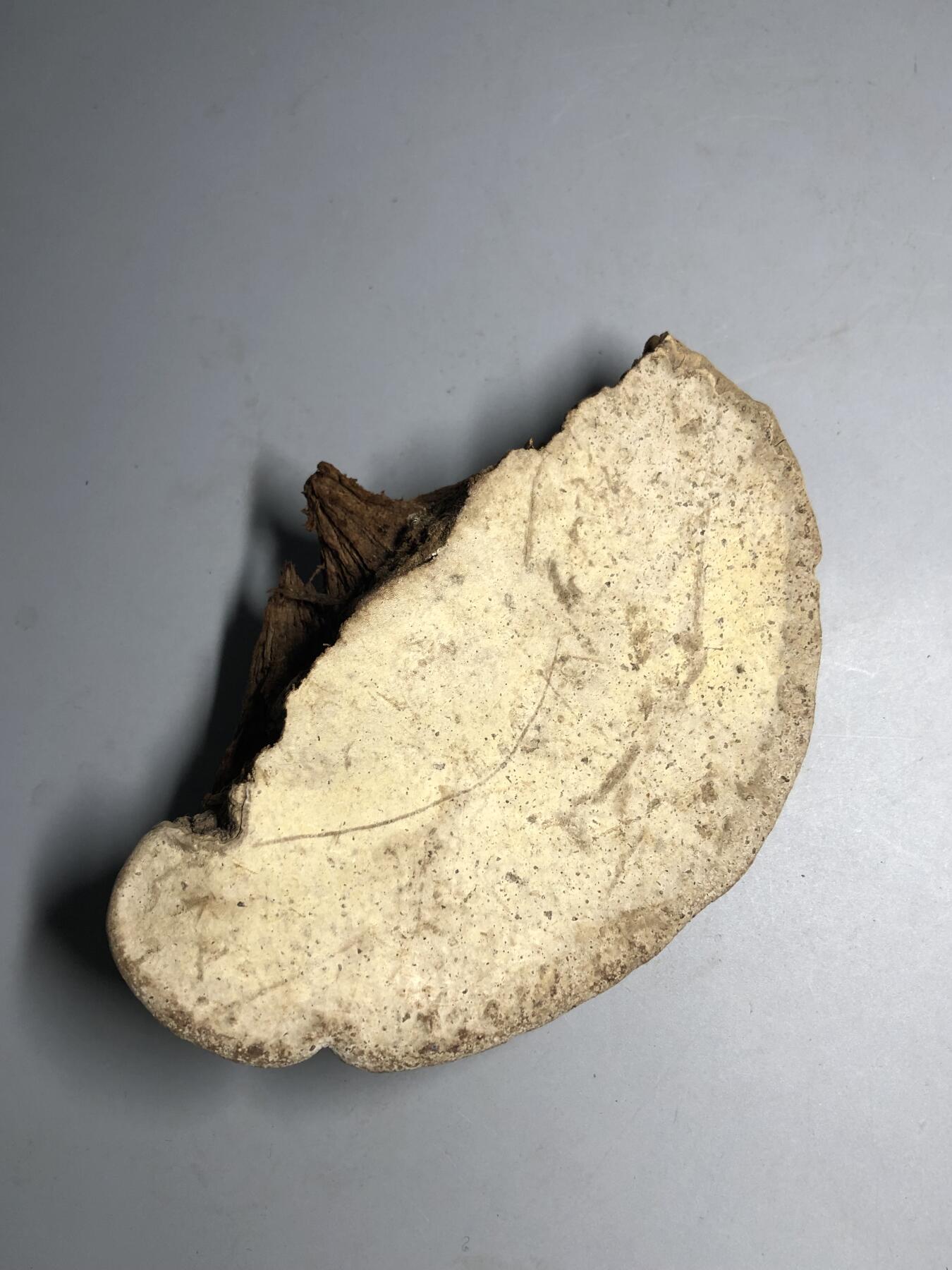 第五期杂项配饰拍卖 捡来的不只是啥