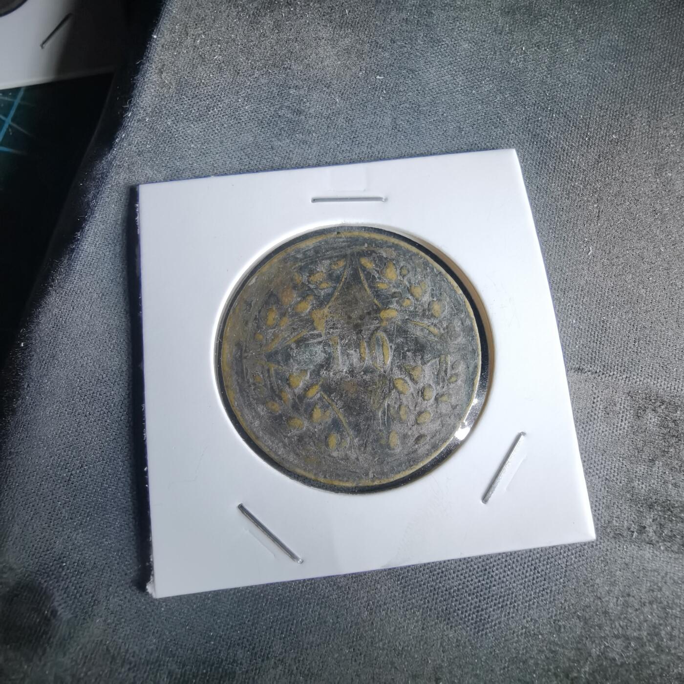 沼泽如烟--第980场