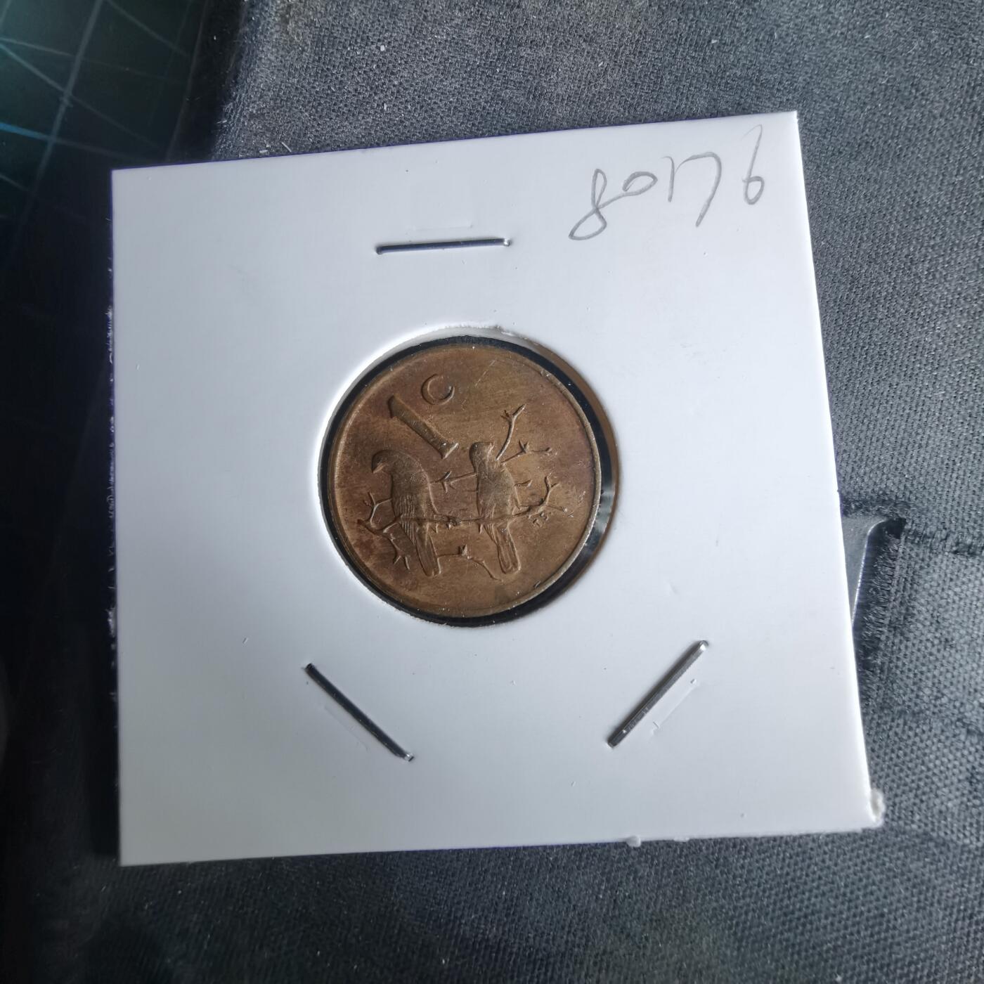 沼泽如烟--第980场