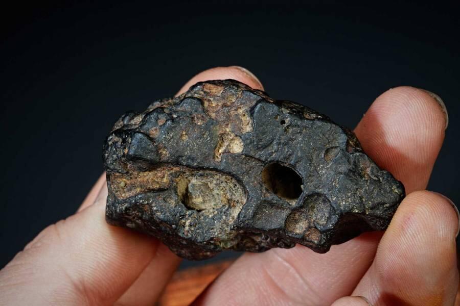 上海都达杂项专场十二（全场包邮】 陨石连座89-2