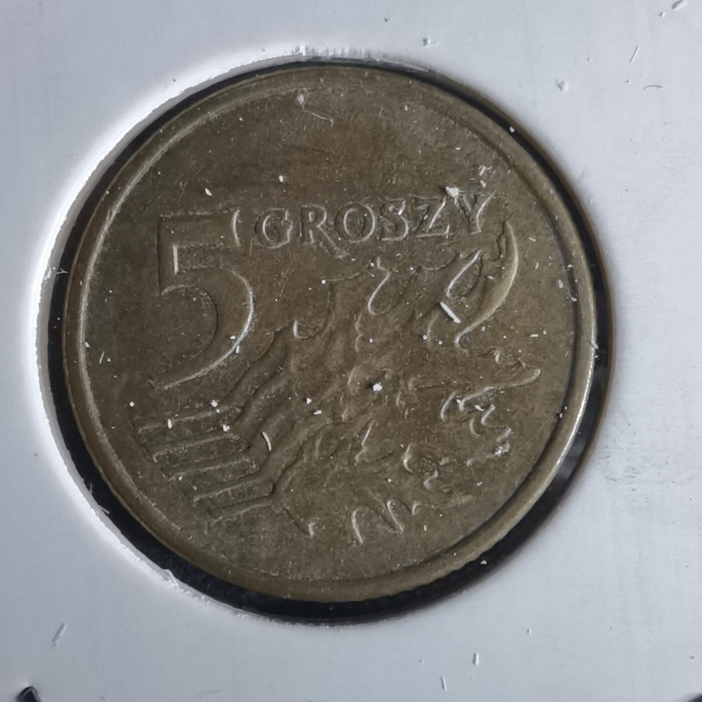 沼泽如烟--第980场 波兰2005年5格罗申