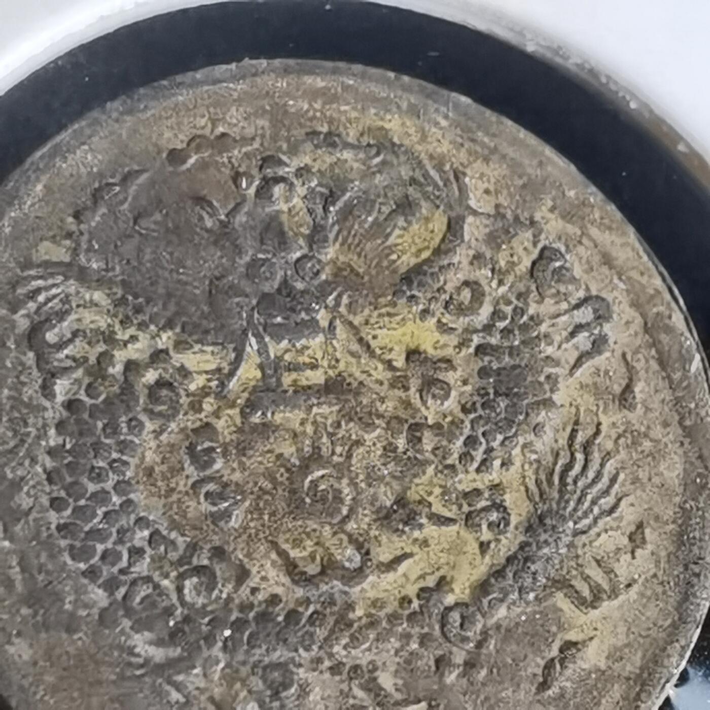 沼泽如烟--第980场