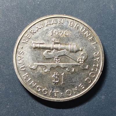 【全场包邮】纯粹捡漏拍499场-持续更新中 - 文莱