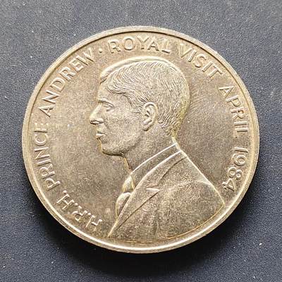 【全场包邮】纯粹捡漏拍498场-持续更新中 - 阿松森群岛1984年50便士安德鲁王子皇家访问克朗型纪念币