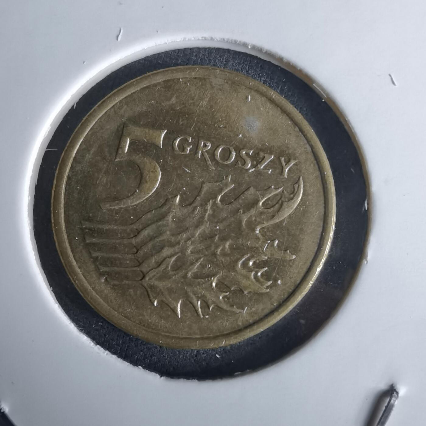 沼泽如烟--第980场 波兰2008年5格罗申