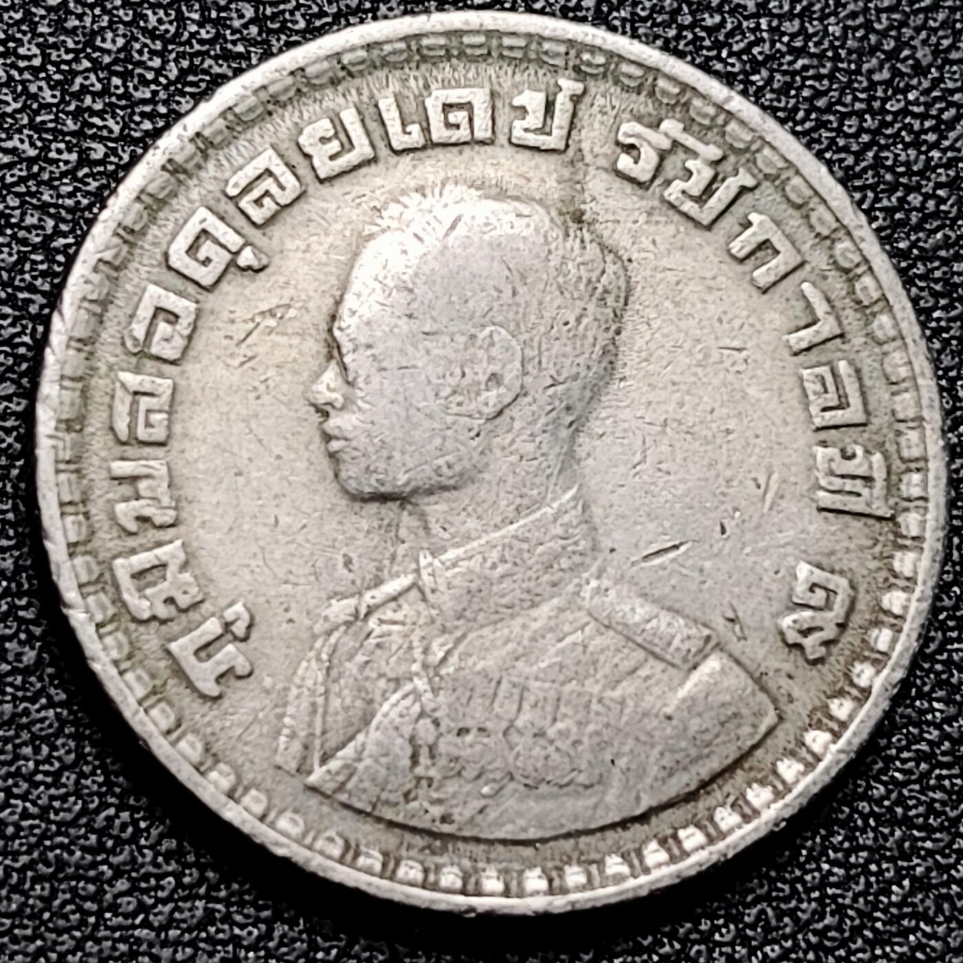 泉币菌-第179场- 精品福利场 。