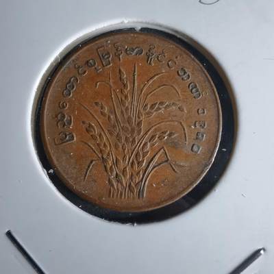 沼泽如烟--第980场 - 缅甸