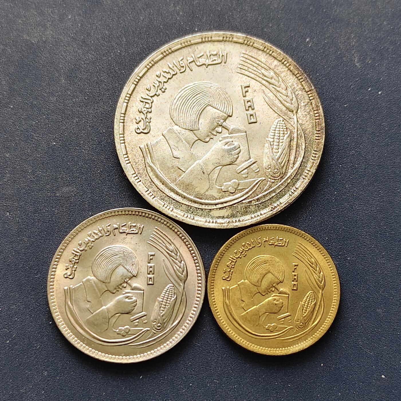 【全场包邮】纯粹捡漏拍499场-持续更新中 埃及