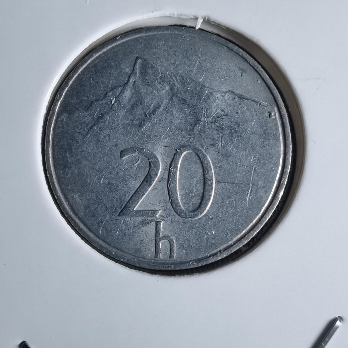 沼泽如烟--第980场