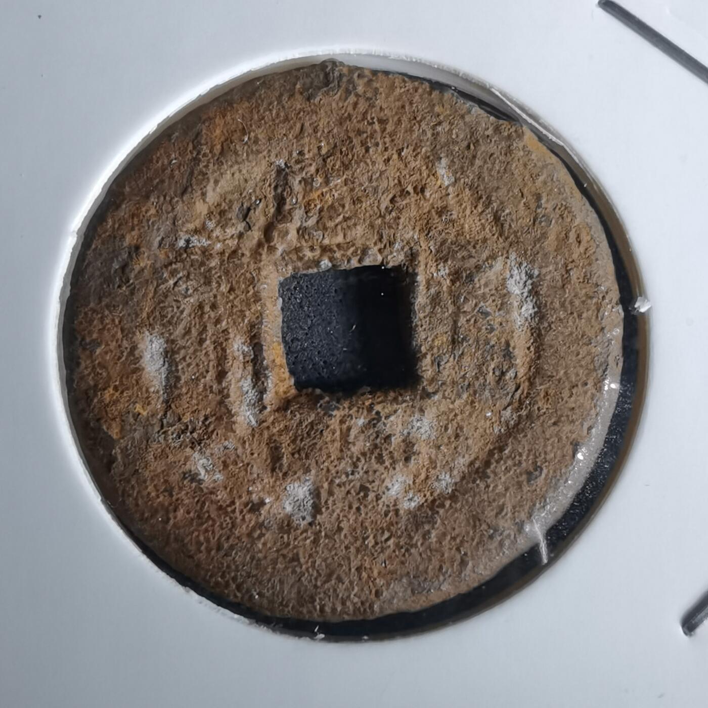 沼泽如烟--第980场