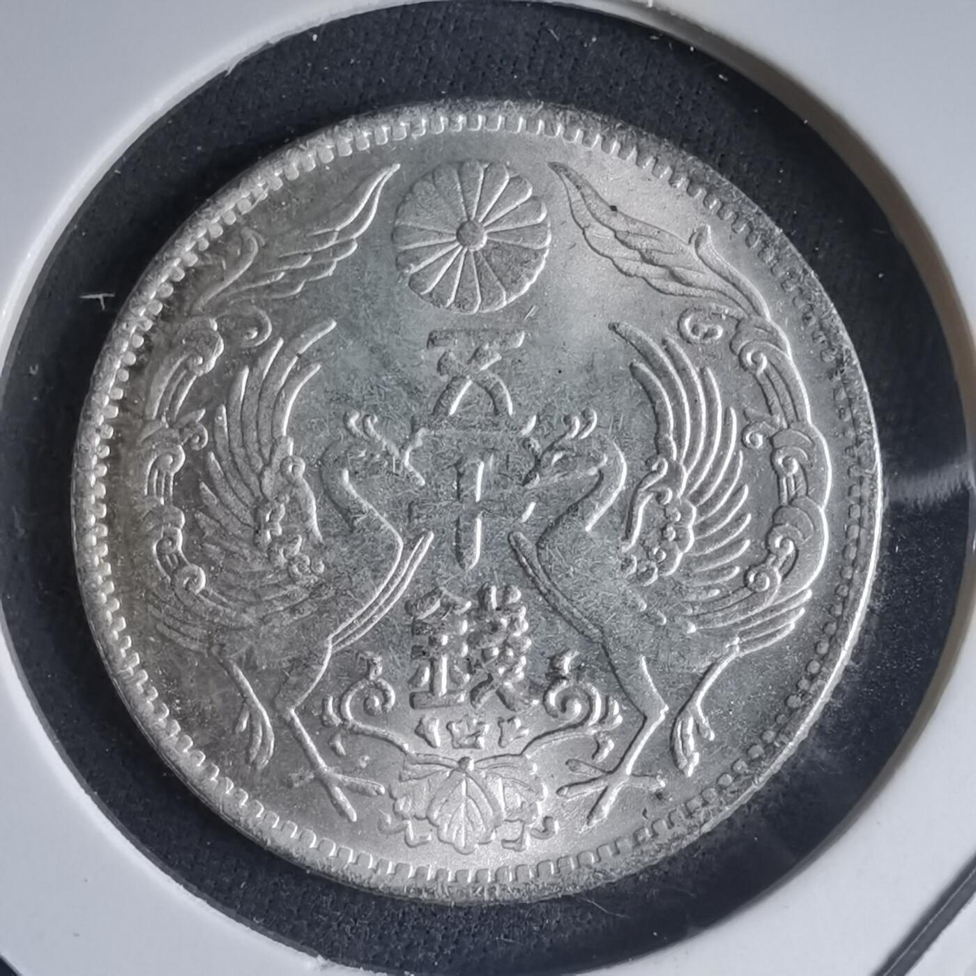 沼泽如烟--第981场