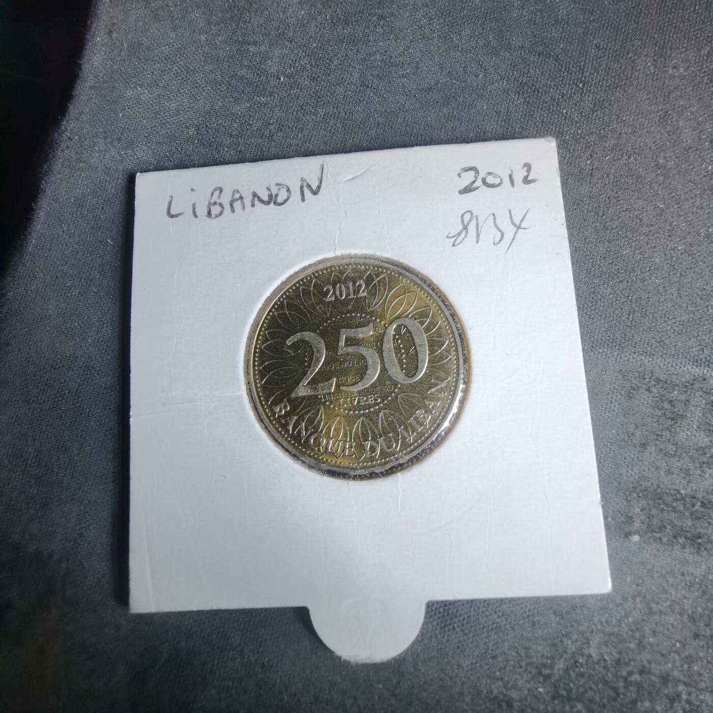 沼泽如烟--第981场