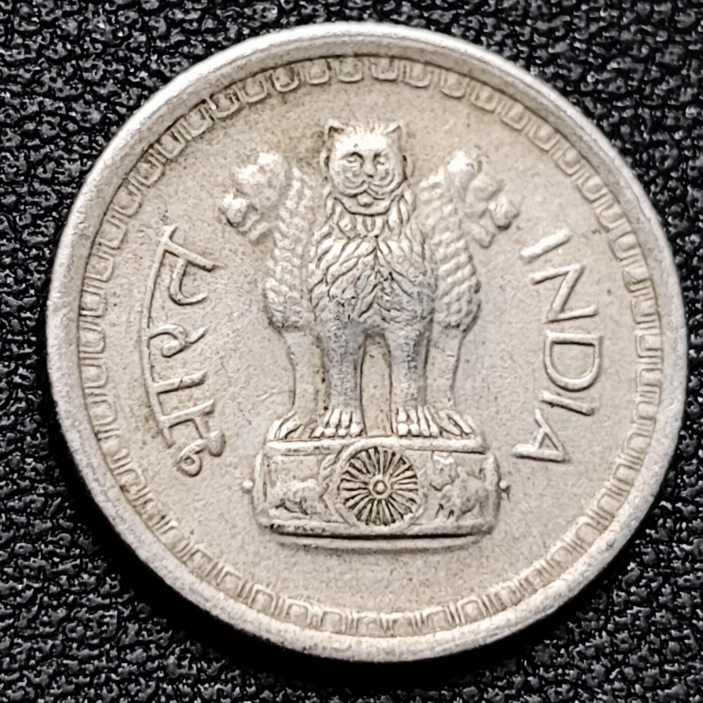 泉币菌-第180场- 精品福利场 。