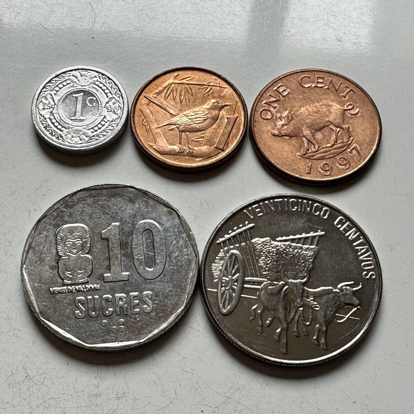 🌹外币初藏🌹🐯2026年第14场  每周二四六晚8️⃣点 接代拍