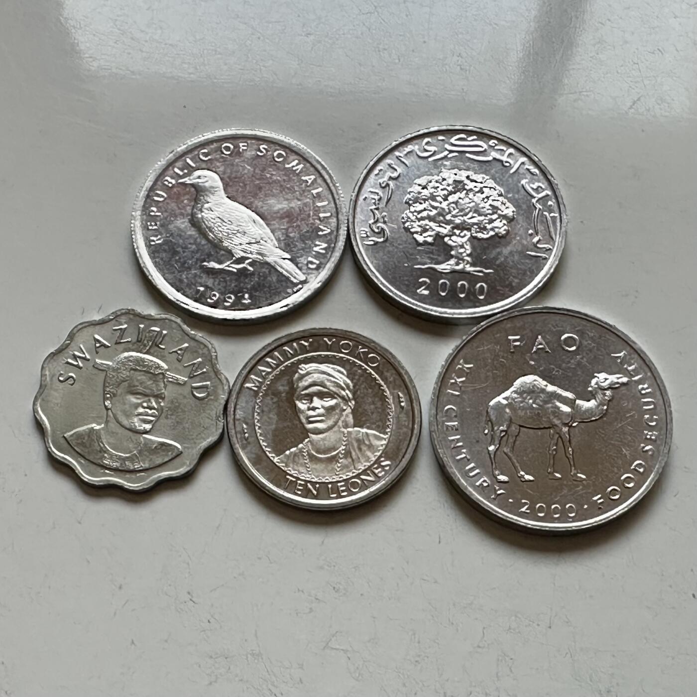 🌹外币初藏🌹🐯2026年第14场  每周二四六晚8️⃣点 接代拍 非洲散币5枚组—4