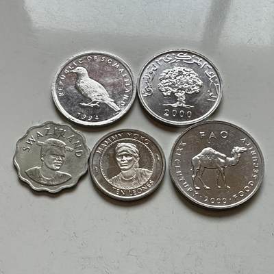 🌹外币初藏🌹🐯2026年第14场  每周二四六晚8️⃣点 接代拍 - 非洲散币5枚组—4