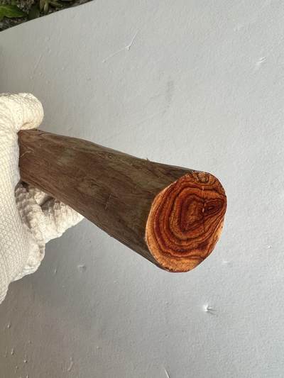 零元拍：NO.35-5 海南黄花梨珠子料，外面白皮基本都去掉了，红肉打底。290/40/35MM - 零元拍：NO.35-5 海南黄花梨珠子料，外面白皮基本都去掉了，红肉打底。290/40/35MM