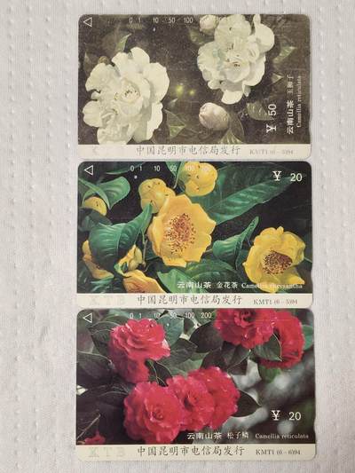 易卡拍卖第75期 - 云南山茶花（3枚低值的）（精品地方卡系列）（旧卡，多孔卡）。收藏级品相。如图所示！