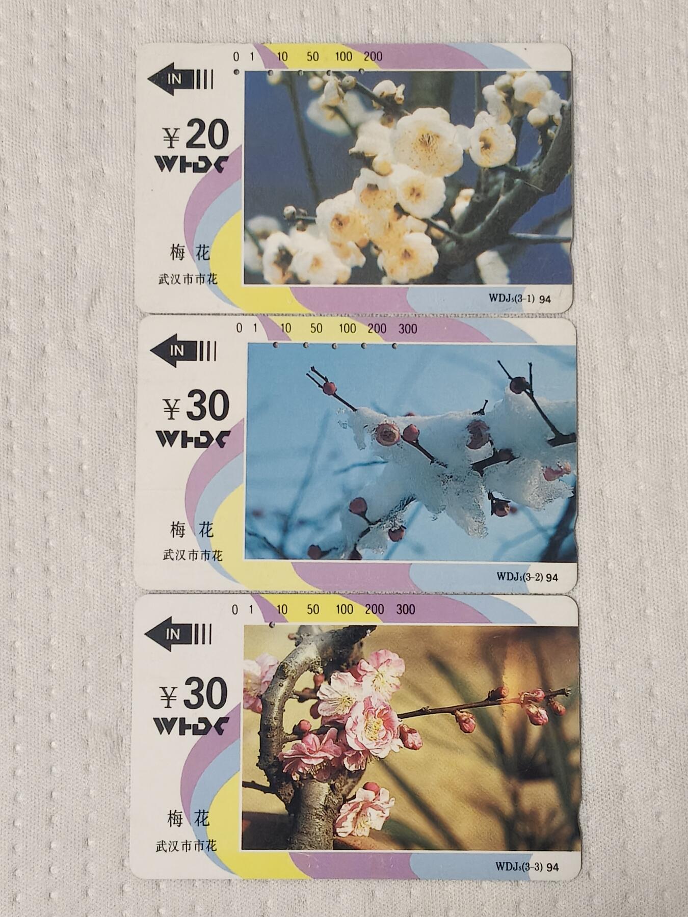 易卡拍卖第75期 武汉市花——梅花（精品地方卡系列）（旧卡，多孔卡）收藏级品相。如图所示！