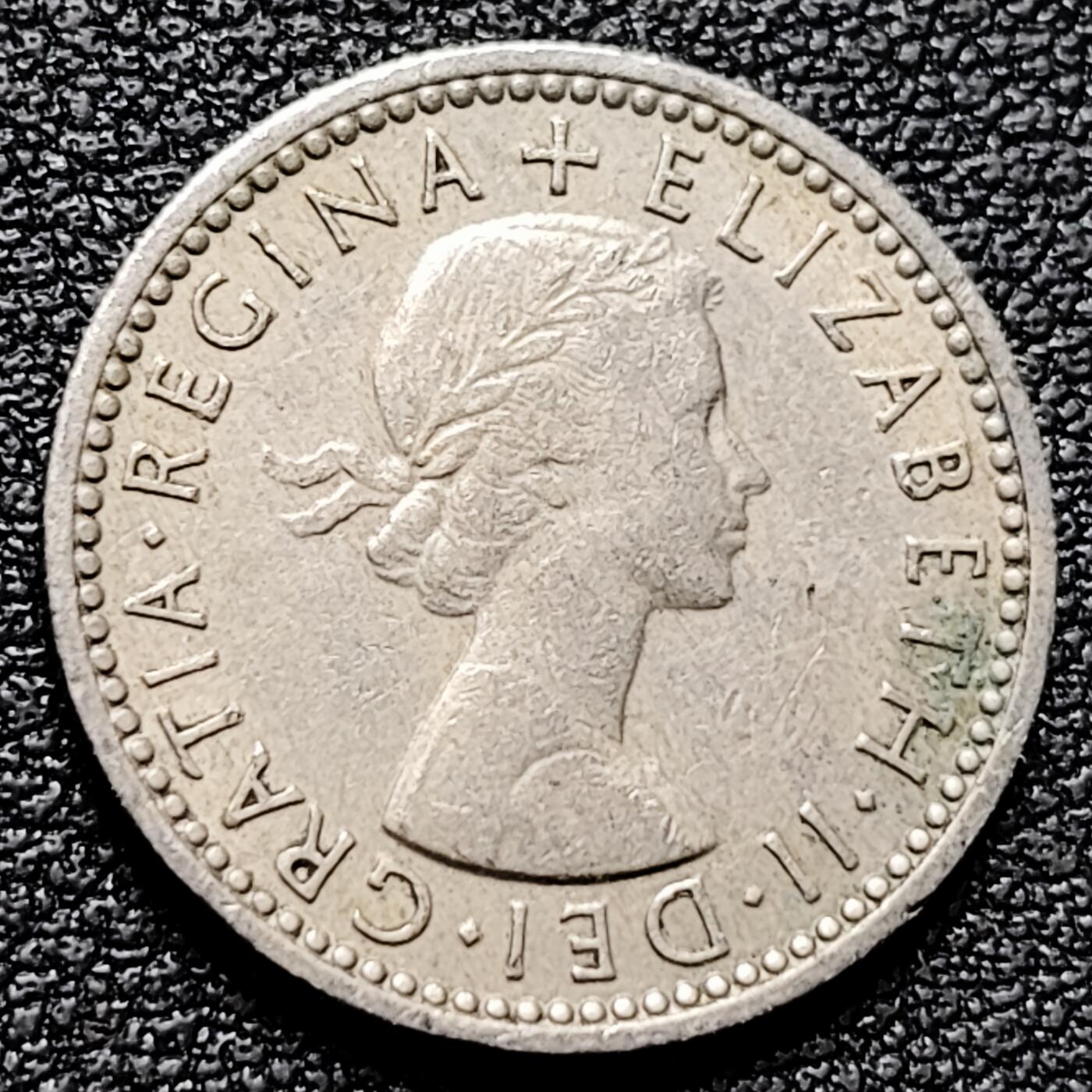 泉币菌-第180场- 精品福利场 。