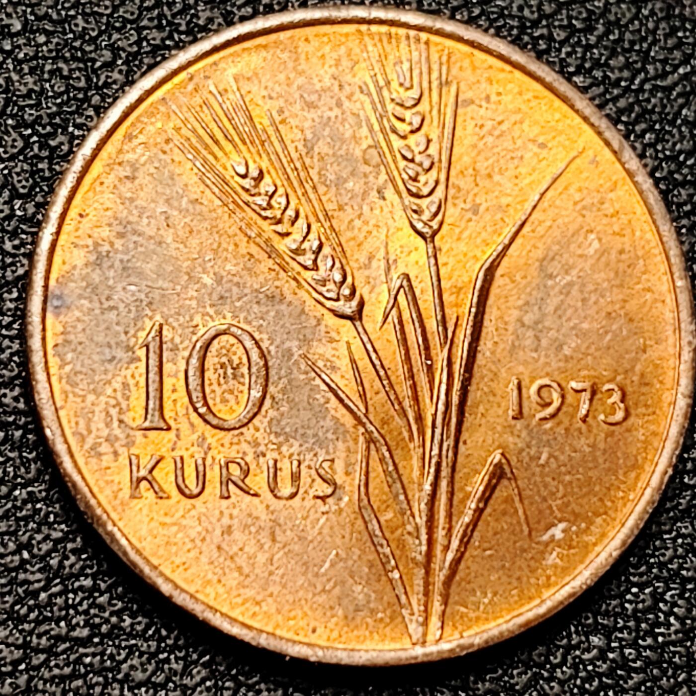 泉币菌-第180场- 精品福利场