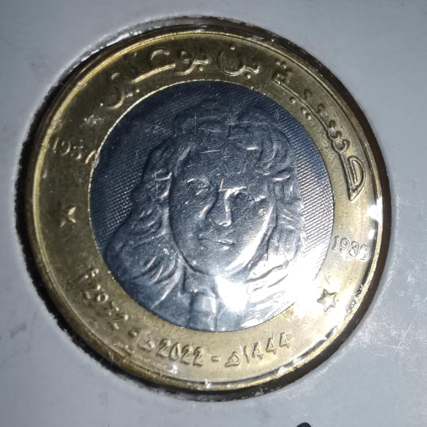 沼泽如烟--第981场