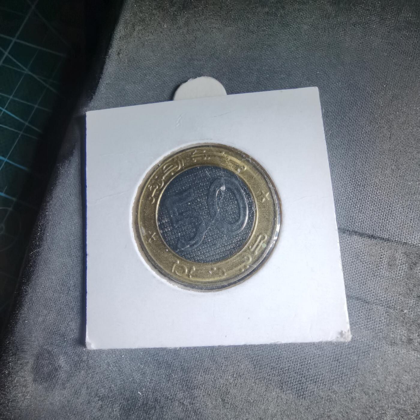 沼泽如烟--第981场