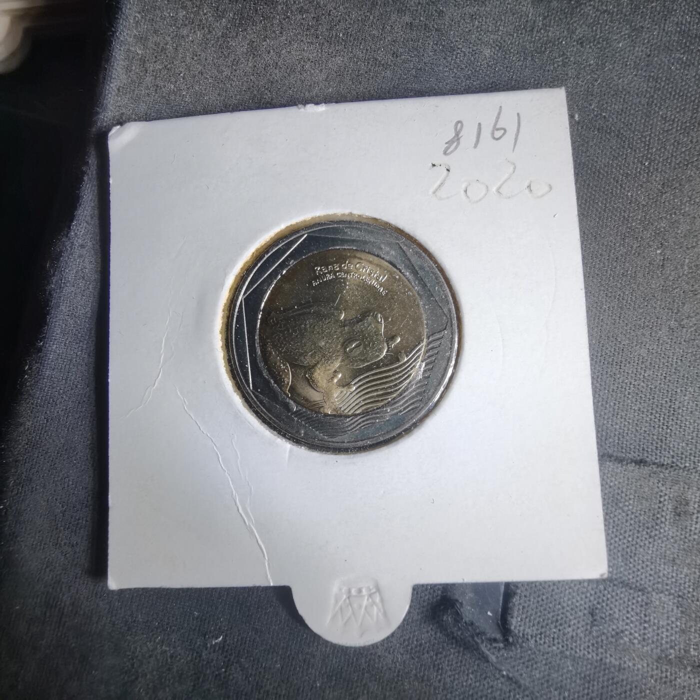 沼泽如烟--第981场 哥伦比亚2020年500比索