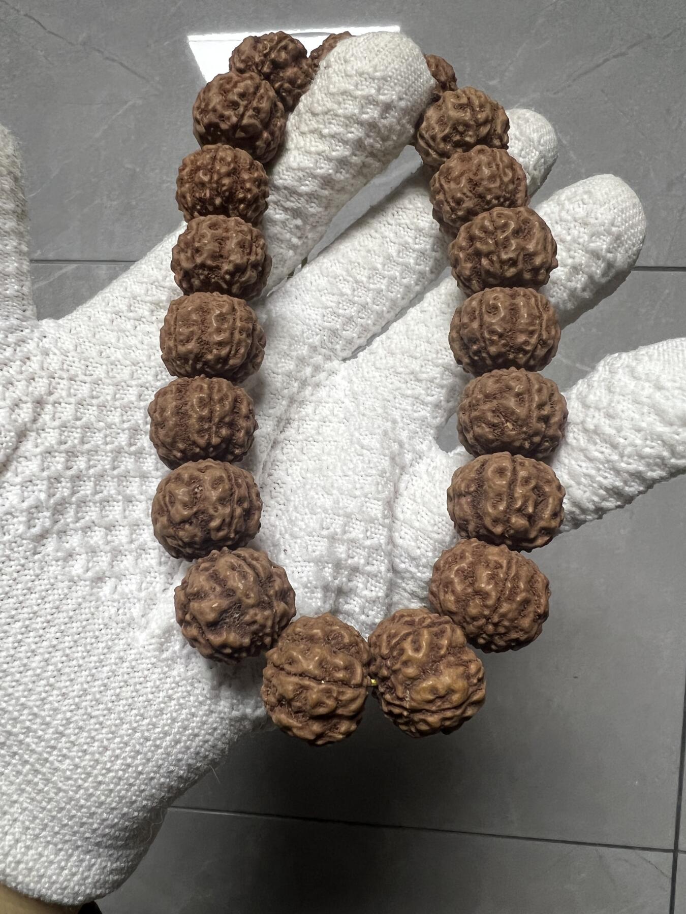 零元拍：超大龙花金刚手持，爆红爆肉，18.5/16左右