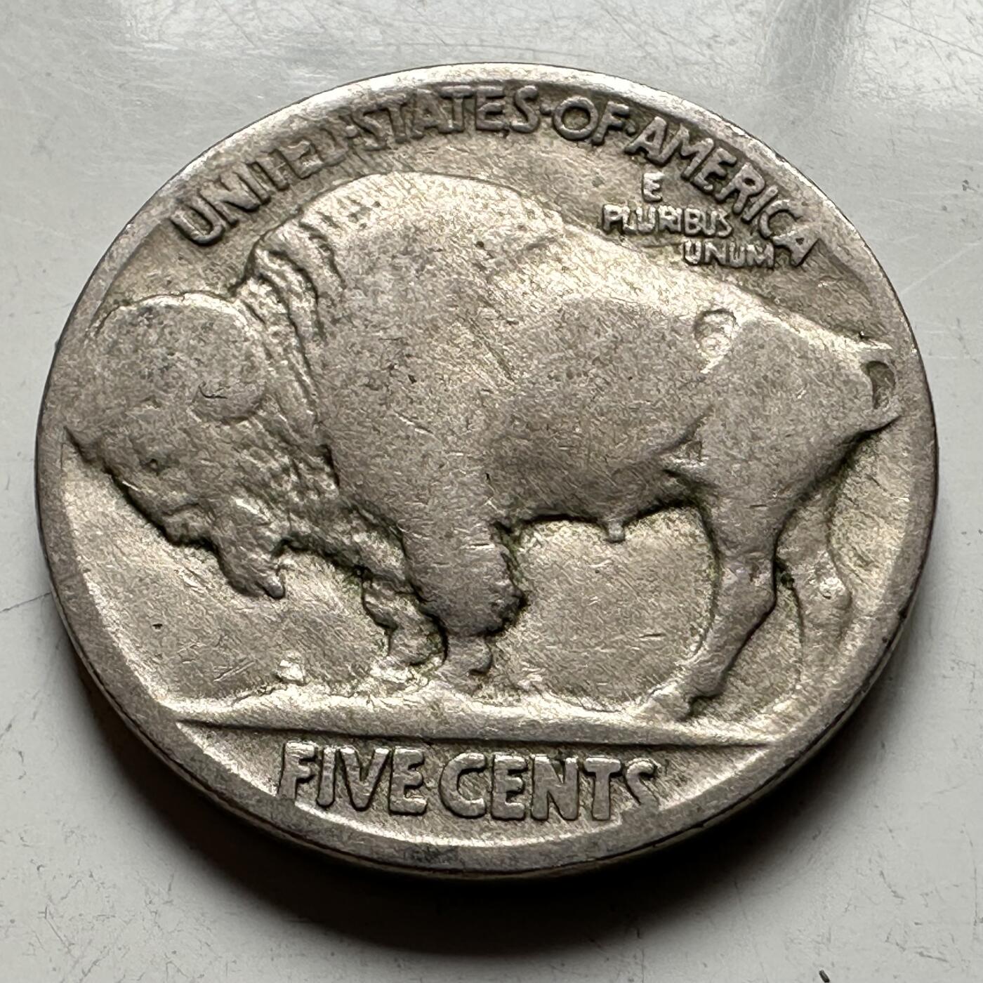 🌹外币初藏🌹🐯2026年第14场  每周二四六晚8️⃣点 接代拍 美国1920年牦牛五分