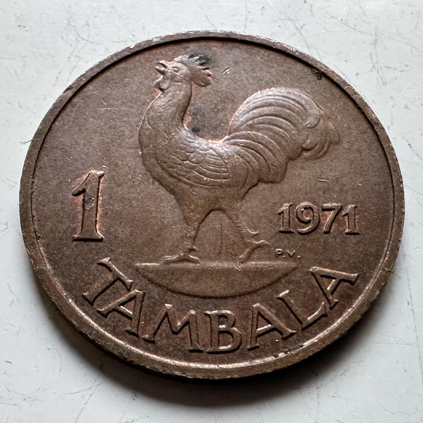 🌹外币初藏🌹🐯2026年第14场  每周二四六晚8️⃣点 接代拍