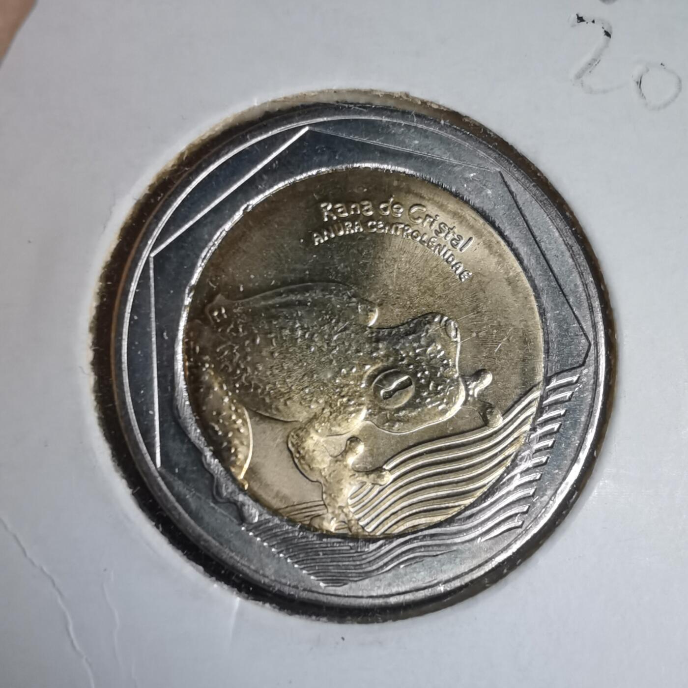 沼泽如烟--第981场 哥伦比亚2020年500比索