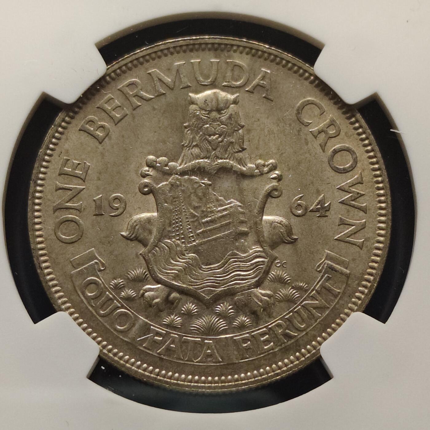 【全场包邮】纯粹捡漏拍499场-持续更新中