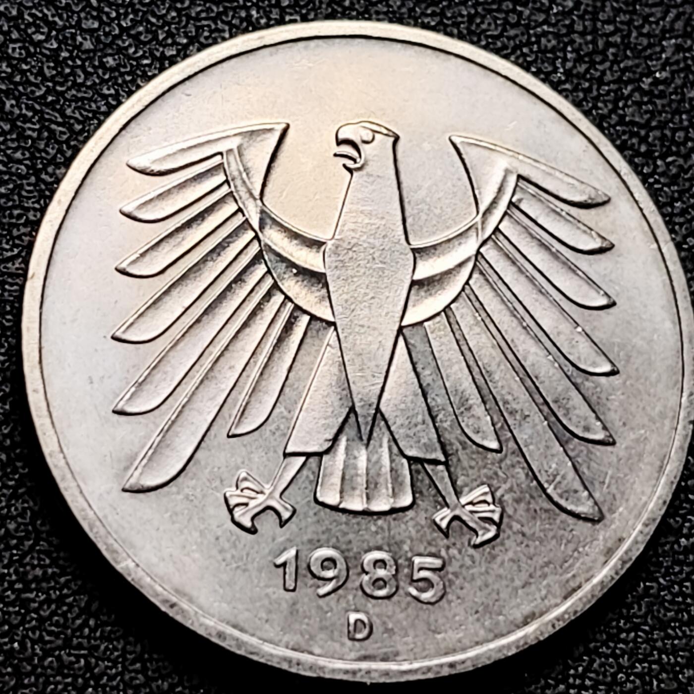 泉币菌-第180场- 精品福利场