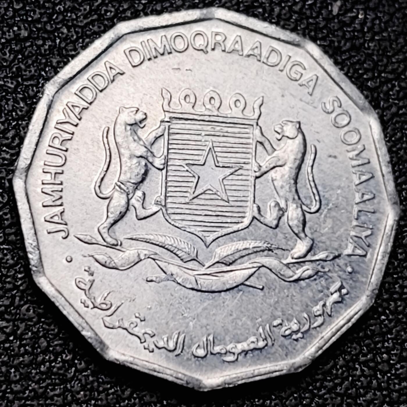 泉币菌-第180场- 精品福利场