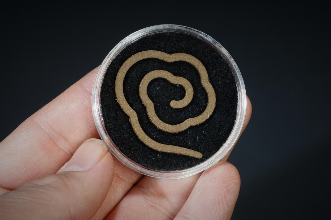 上海都达杂项专场十三（全场包邮】 天然海南沉香盘香片 一盒/8片