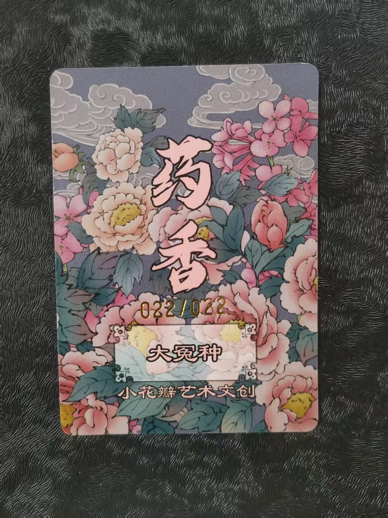 【公益拍卖】小花瓣公益拍卖 拍卖款全部捐给罹患重病卡友 【手绘复制卡】大冤种 编号022/022