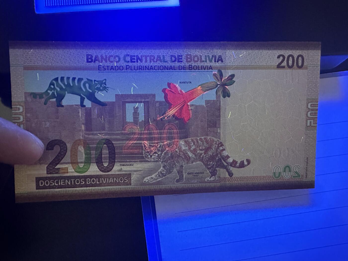 《外钞收藏家》第六百零六期（精品场）（本平台长期征集拍品、欢迎藏友们联系合作） 玻利维亚200 全新 A冠 全偶数